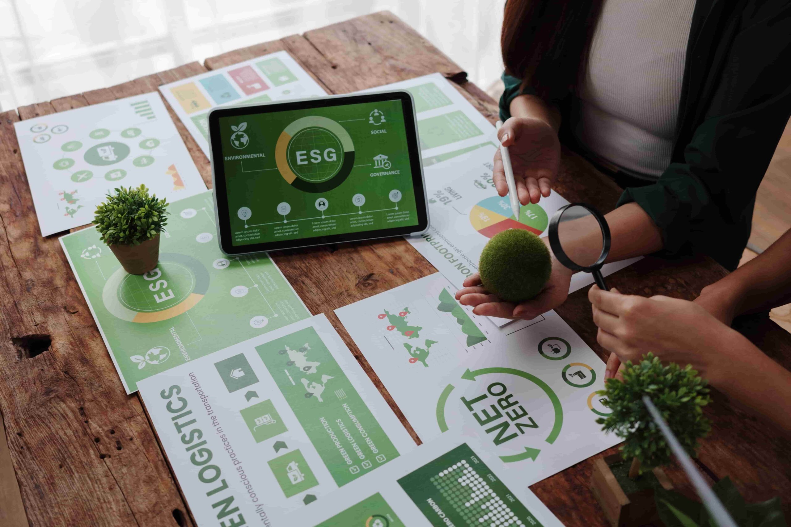 RockSoft Tech – Eco-Friendly Web Design Sheffield for Peak Performance